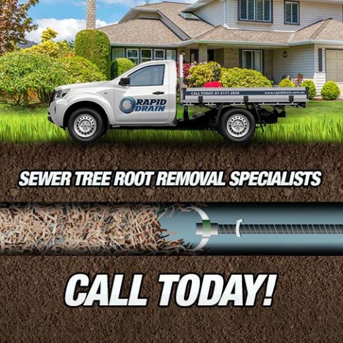 Sewer Tree Root Removal Specialists In Rochedale